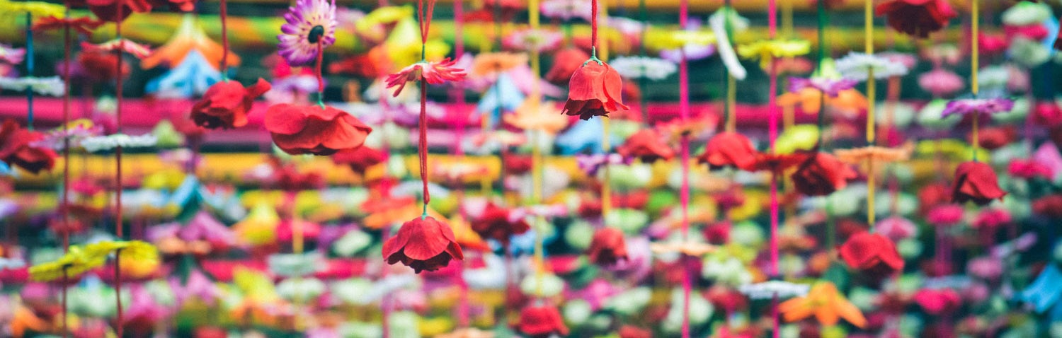 colorful hanging flowers 