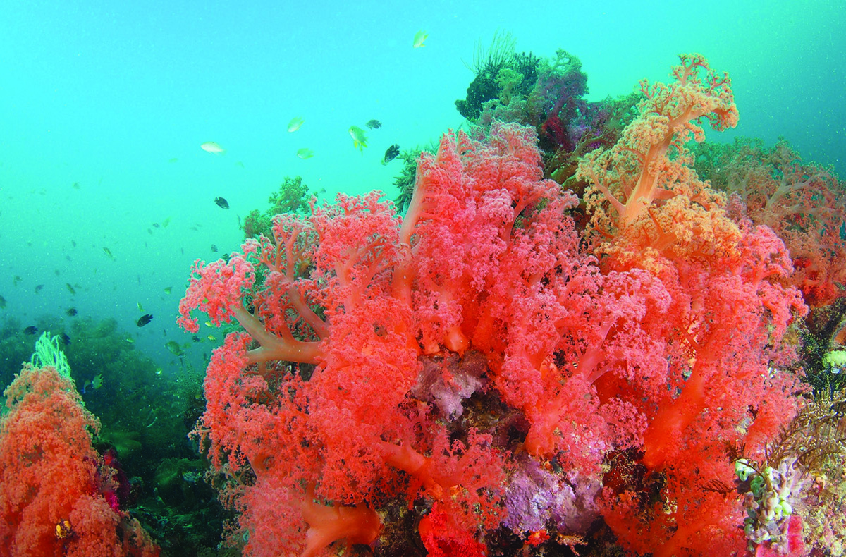 Romblon Island, Philippines