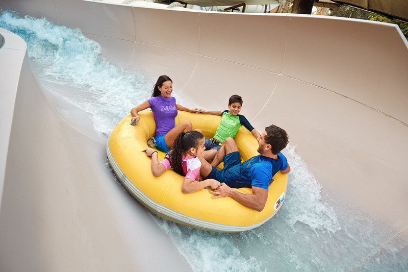 Family Experiences