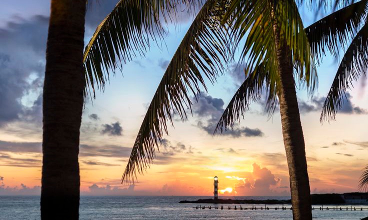 Island Palm Tree Sunset
