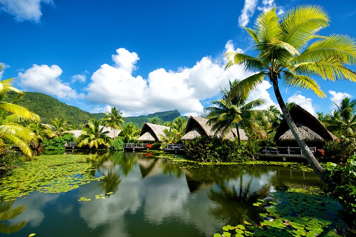 pleasant-maitai-lapita-village.jpg?t=1532564878149 pleasant-maitai-lapita-village.jpg?t=1532564878149