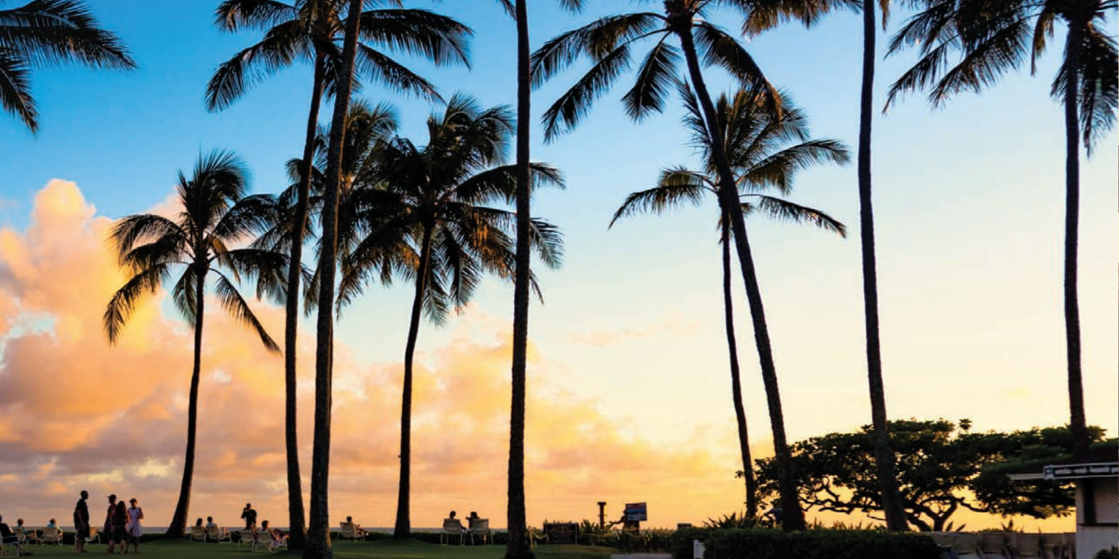 Escape To Hawaii With Pleasant Holidays