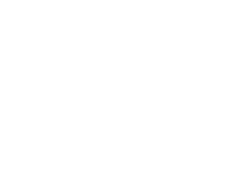 Spain Inside Logo White