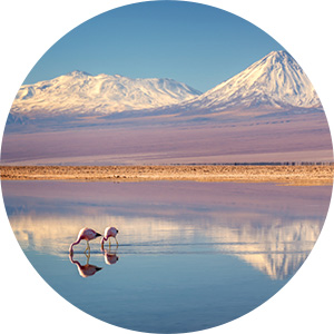 Wildlife & Natural Wonders South America - 300x300px