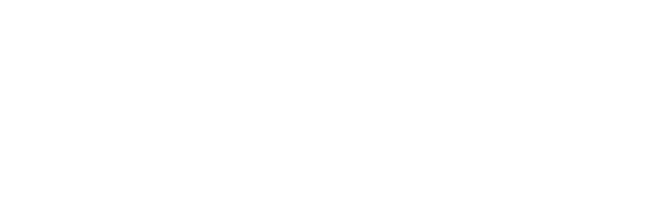 logo_travelive