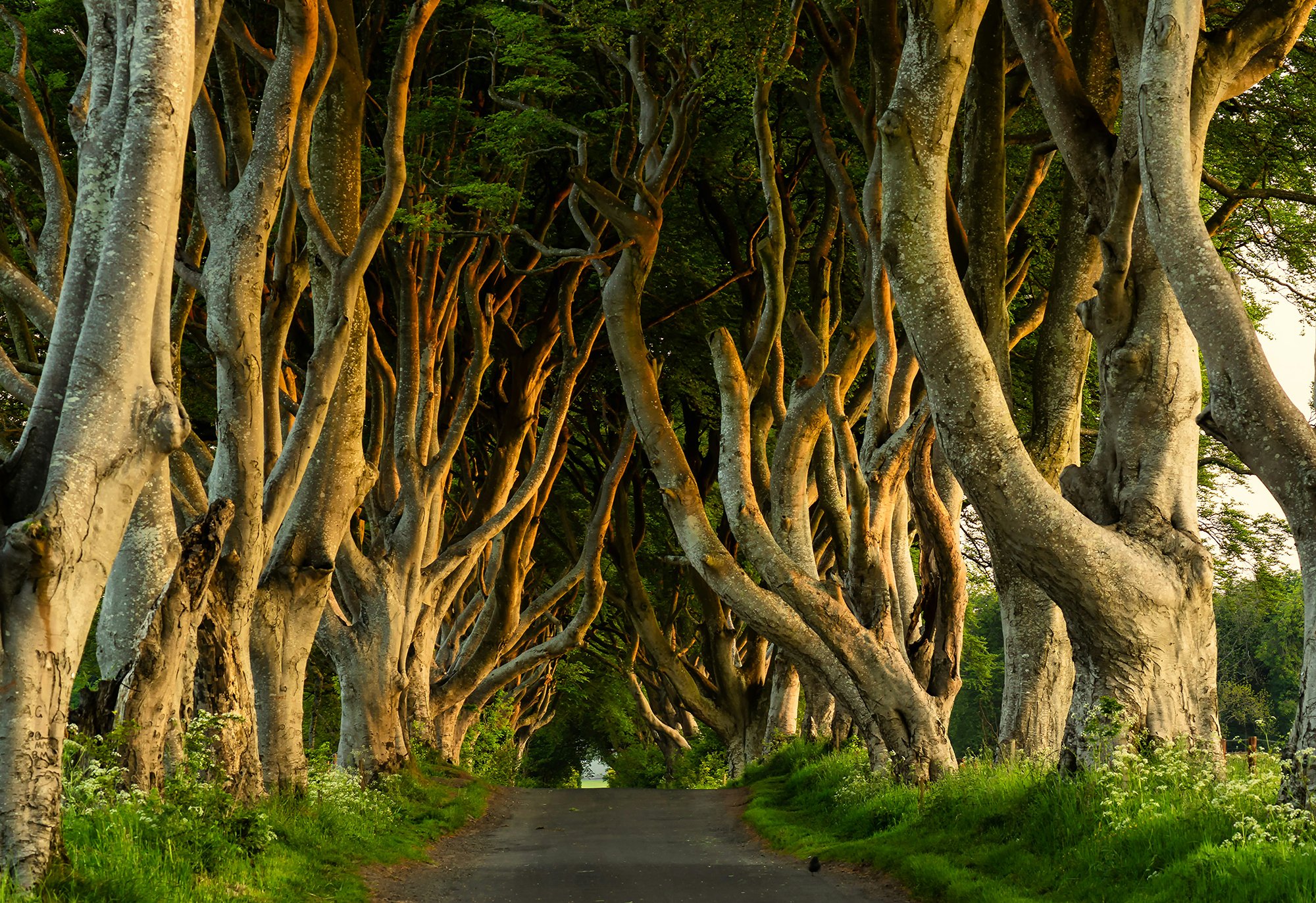 CIE Tours' Most Enchanting Itineraries