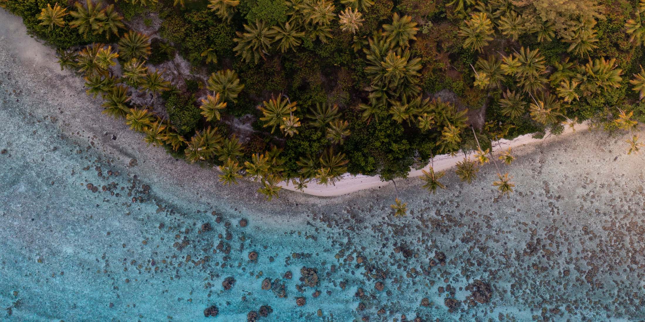 8 Reasons to Visit French Polynesia