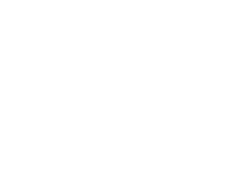 princess-logo-2020-white