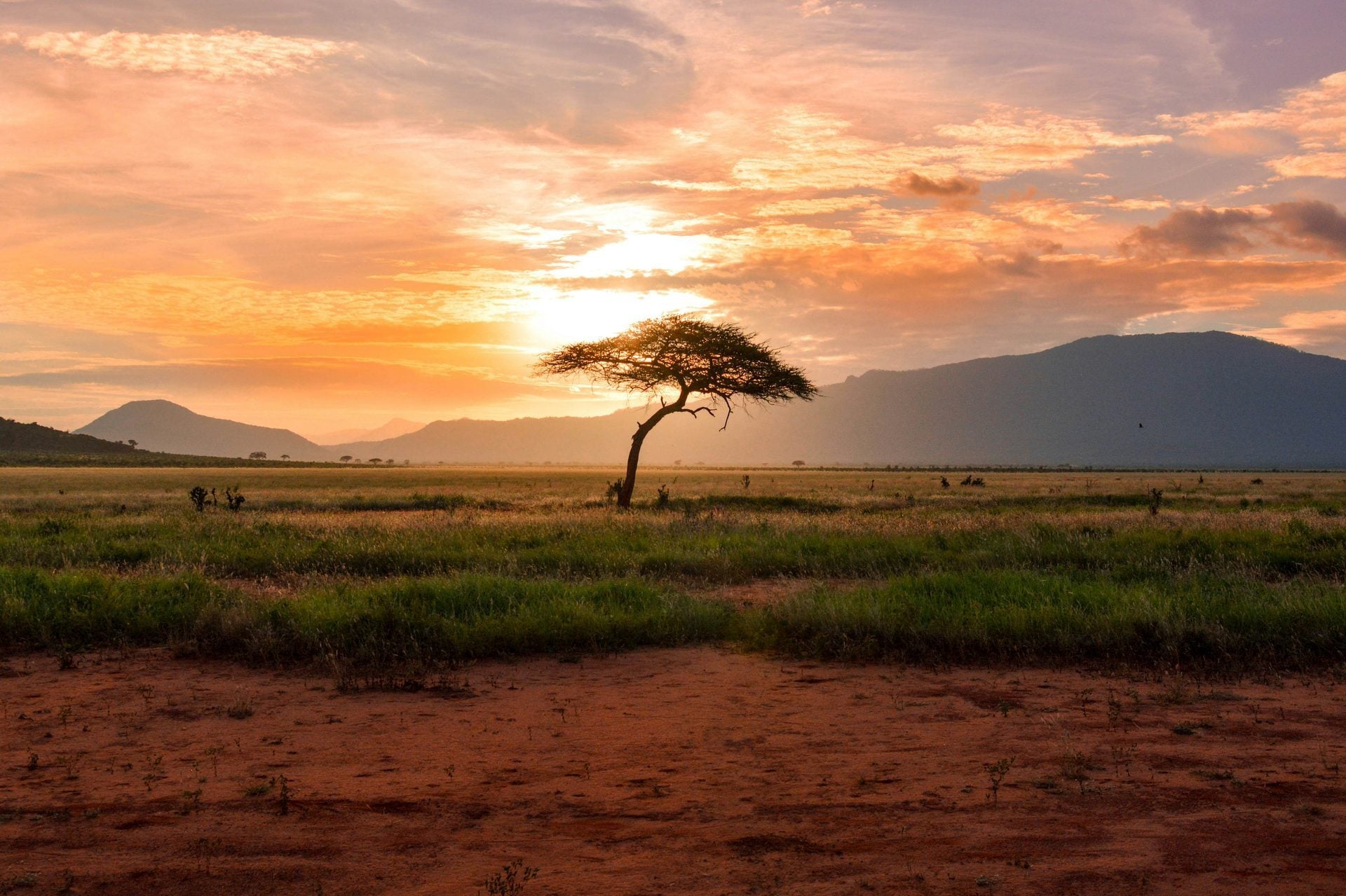 The Safari That Moves at Nature's Pace